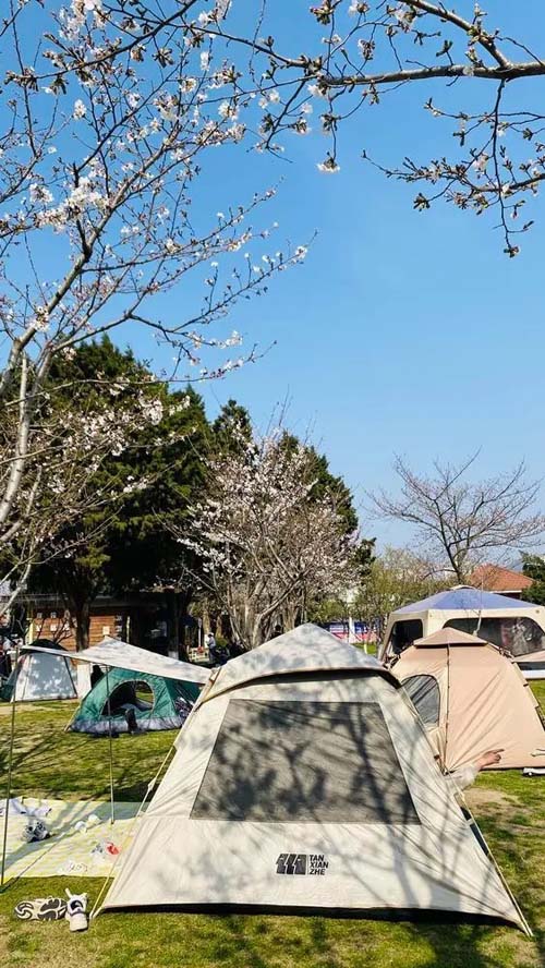 河南文旅博览会,郑州文旅博览会,河南文旅会,郑州文旅会,河南房车露营展,郑州房车露营展,河南户外用品展,郑州户外用品展