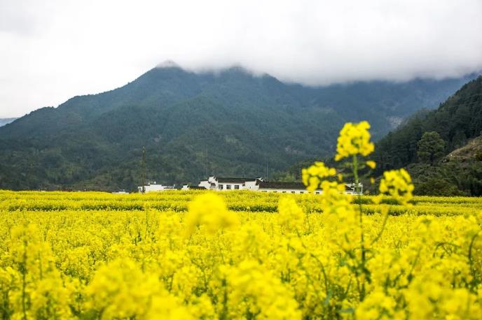 河南文旅博览会,郑州文旅博览会,河南文旅会,郑州文旅会,河南房车露营展,郑州房车露营展,河南户外用品展,郑州户外用品展