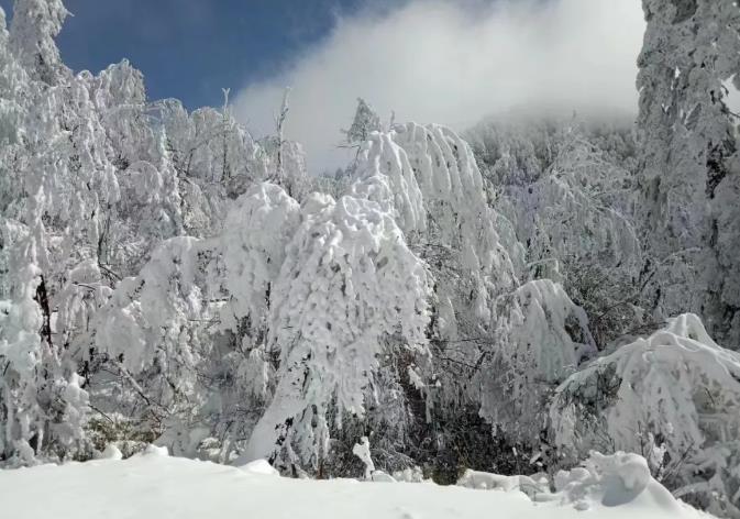 河南文旅博览会,郑州文旅博览会,河南文旅会,郑州文旅会,河南房车露营展,郑州房车露营展,河南户外用品展,郑州户外用品展